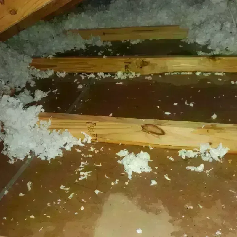 Attic Water Damage in Baldwin County, GA