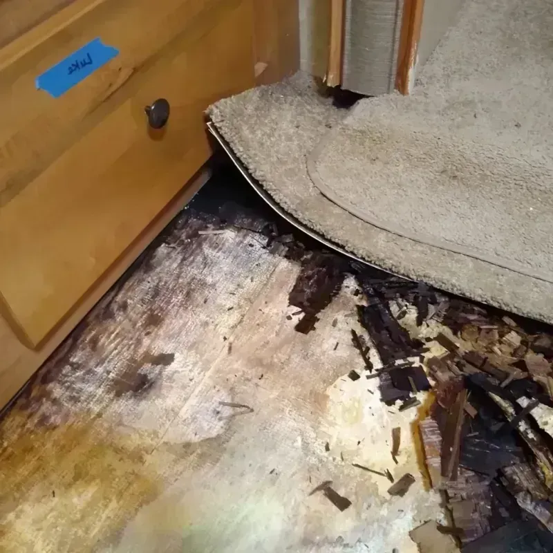 Wood Floor Water Damage in Baldwin County, GA